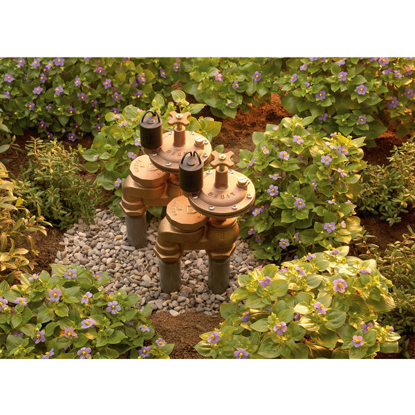 3/4" FPT Auto Brass Anti-Siphon Valve with Flow Control | 57065, photo 2 of 3