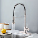 Brushed Nickel Kitchen Faucet with Pull Down Sprayer