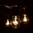 Hometown Evolution, Inc. E26 Commercial String Lights with 16 Gauge Wire (50 Foot 25 Socket, A15 15 Watt Clear Bulbs) by GreenHaven Gardens