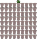 Yishang 72 pcs Small Mini Grey Clay Pots, 2.5'' Terracotta Pot Clay Ceramic Pottery Planter,Cactus Flower Terra Cotta Pots,Succulents Nursery Pots,with Drainage Hole,Great for Crafts,Wedding Favor by GreenHaven Gardens