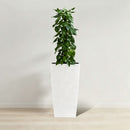 Indoor Outdoor Planter With Automatic Watering System by HouseOfZazla