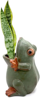 7" Ceramic Frog Shaped Plant Pot/Bonsai Pot/Flower Pot/Succulent Planter/Candy Dish/Pencil Holder Frog Decor Multipurpose Pot by GreenHaven Gardens