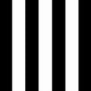 Arden Selections Outdoor Wicker Chair Cushion, 20 x 18, Rain-Proof, Fade Resistant 21 x 21, Black Cabana Stripe (Pack of 4) by GreenHaven Gardens