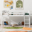 Low Loft Bed With Adjustable Ladder