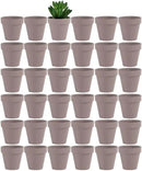 Yishang 36 pcs Small Mini Grey Clay Pots, 2.5'' Terracotta Pot Clay Ceramic Pottery Planter,Cactus Flower Terra Cotta Pots,Succulents Nursery Pots,with Drainage Hole,Great for Crafts,Wedding Favor by GreenHaven Gardens