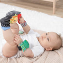 The Peanutshell Sock Rattles Set of 5 - Girl Boy Rattle Socks, Baby Toys 0-6-12 Month, Animal Newborn High Contrast Baby, Infant, Newborn Toys 0-3 0-6 Months Old Babies - Montessori by TinyTreasures Baby Boutique