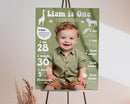 Generic Personalized First Birthday Milestone Sign, My First Year Photo Poster, Wild One First Year Baby Milestone Board, Design 014 by TinyTreasures Baby Boutique
