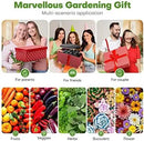 Ahopegarden Indoor Garden Hydroponics Growing System: 12 Pods Plant Germination Kit Garden Kit Growth Lamp Countertop with LED Grow Light Hydrophonic Planter Grower Harvest Vegetable Lettuce by GreenHaven Gardens