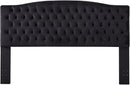 24KF Upholstered Tufted Button Velvet Headboard,Comfortable Fashional Headboard King/CA King Size,Black by CozyNest Decor