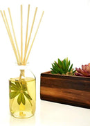 LOVSPA Reed Diffuser Set, Lush Palm & Jasmine Scented Oil Diffuser with Sticks, Home Fragrance Accessories for Bathroom Shelf Decor, Aroma Diffusers for Home or Office Desk, USA Made by CozyNest Decor