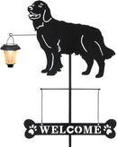BAYN Solar Golden Retriever Garden Stakes Decorative with a Lantern Dog Silhouette Welcome Sign Outdoor Garden Decor for Yard, Lawn, Patio, Pathway by CozyNest Decor