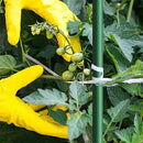 4ft 8pack Garden Stakes 1/4" Dia FRP Plant Supporting Stakes for Climbing Tomato Cucumber Strawberry Bean Tree, Pack of 8, Dark Green(48inch) by GreenHaven Gardens