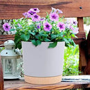 QCQHDU 8 inch Plant Pot, 2 Pack Planters for Indoor Plants with Drainage Holes & Saucer, Outdoor Flower Pots Home Garden Modern Decor by GreenHaven Gardens
