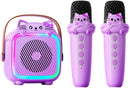 Karaoke Machine with 2 Wireless Microphones for Kids Adults,Portable Bluetooth Speaker Girls Toddlers Toy Gift for Aged 3-12 Year Birthday Parties Christmas Party - Purple by TinyTreasures Baby Boutique