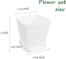OJYUDD 3inch White Square Plastic Pots with Saucer, Drainage Hole, 24 Pcs, for Flower/Plant, Home,Company,Office and Garden(White) by GreenHaven Gardens