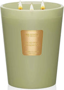 M&SENSE Eucalyptus & Cedarwood Scented Candle, 3 Wick 35oz Natural Soy Wax Candles for Home Scented, Green Candles Gift for Spring, 150 Hours Long Lasting Slow Burning by CozyNest Decor