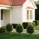 24 Inches Artificial Cypress Topiary Ball Tree Set with Ground Spike-Green by LJGDeals