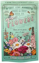 Northeastern Wildflower Seeds Bulk – 1/4 lb, 160,000+ Seeds – Native Northeast Wildflower Mix – Annual & Perennial Flower Seed for Planting – Pollinator-Friendly Garden Mix by GreenHaven Gardens