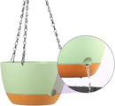 2 Pack Plastic Hanging Planters Set ,10 Inch Hanging Flower Plant Pot with Drainage Hole for Indoor Outdoor Plants, Round Hanging Basket with Removable Tray for Home Garden Porch Balcony Patio Decore by GreenHaven Gardens