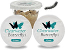 Clearwater Butterfly Live Painted Lady Butterflies - 10 Live Caterpillars - Live Caterpillars to Butterflies - Caterpillars for Butterfly Kit - Mesh Cage Not Included - Live Butterfly Kit - 10 Count by TinyTreasures Baby Boutique
