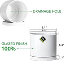 Aveyas 8 inch Ceramic Plant Pot with Drainage Hole and Saucer - Suitable for Indoor and Outdoor Use, Modern Planters for House Garden Flower Tree Snake Monstera Plants (8", Glossy White) by GreenHaven Gardens