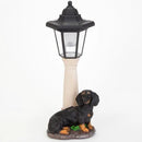 Bits and Pieces - Solar Dog Lantern-Solar Powered Garden Lantern - Resin Dog Sculpture with LED Light (Dachshund) by GreenHaven Gardens