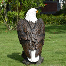 13" H x 24.4" L Large Standing Bald Eagle Garden Statue by HouseOfZazla