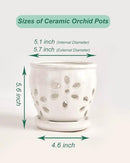 vensovo 5 Inch Ceramic Orchid Pots with Holes and Saucers - 1 Pcs Small Succulent Pot for Repotting, Garden Flowerpots for Plants Indoor and Outdoor Promotes Air Circulation, White by GreenHaven Gardens