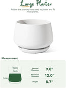 LE TAUCI Ceramic Planters, 12 Inch Pots for Plants, Indoor Plant Pots with Drainage Holes and Saucers, Modern Planters Fit Mid Century Plant Stand, Flower Pots for Indoor Plants, White by GreenHaven Gardens