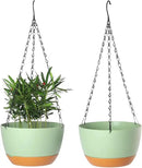 2 Pack Plastic Hanging Planters 10 Inch Hanging Pots with Drainage Hole for Indoor Outdoor Plants, Round Hanging Basket with Removable Tray for Home Garden Porch Balcony Patio Decor by GreenHaven Gardens