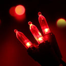 Brizled Red Christmas Lights, 33ft 100 LED Connectable Christmas String Light, 120V UL Certified LED Light String for Indoor & Outdoor, Xmas Tree, Garden, Party and Holiday Decoration by TinyTreasures Baby Boutique
