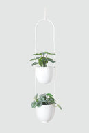 Hanging Planters 2 Tiers Metal Plant Hangers for Indoor Outdoor Plants Wall Ceiling Hanging Flower Pot Basket Holders Kitchen Room Decor(White) by GreenHaven Gardens