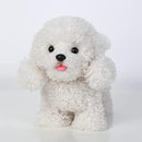 CU-MATE Walking Poodle Dog,Electronic Stuffed Toy Dog, Interactive Puppy Pet Dog, Walking, Barking,Wagging Tail & Talking,Gifts for Boys Girls by TinyTreasures Baby Boutique