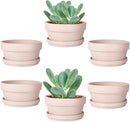 vensovo 3.7 Inch Pink Terracotta Shallow Succulent Pots - 6 Pack Terra Cotta Clay Pot with Saucer, Cacuts Indoor and Outdoor Planters with Drainage Hole by GreenHaven Gardens