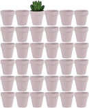 Yishang 36 pcs Small Mini Pink Clay Pots, 2.5'' Terracotta Pot Clay Ceramic Pottery Planter,Cactus Flower Terra Cotta Pots,Succulents Nursery Pots,with Drainage Hole,Great for Crafts,Wedding Favor by GreenHaven Gardens