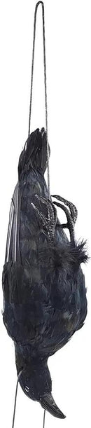 Etistta 17 inch Realistic Hanging Dead Crows Decoy Lifesize Extra Large Black Feathered Crow by GreenHaven Gardens