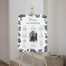 Generic Blueberry First Birthday Milestone Sign, Berry Sweet Birthday Milestone Poster, Boy Blueberries Photo Milestone Board, Design 01 by TinyTreasures Baby Boutique