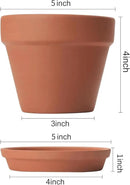 6 PCS Clay pots and Plates, 5-inch red Clay pots with Drainage, Perfect for Indoor, windowsill, and Garden Plants by GreenHaven Gardens