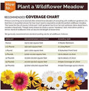 Non GMO Bulk Annual Gaillardia Blanket Flower Seed -Gaillardia pulchella (25 Lbs) by GreenHaven Gardens