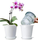 4 inch Clear Orchid Pots with Holes Match White Plastic Orchid Planter,Set of 2,Double Layer Plant Nursery Pots Own Scientific Controlling Roots Technology by GreenHaven Gardens