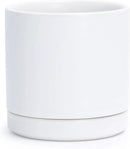 D'vine Dev 3.5 Inch Ceramic Planter Pot with Drainage Hole and Saucer, Indoor Cylinder Round Planter Pot, White, 94-O-A-1 by GreenHaven Gardens