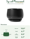 LE TAUCI Ceramic Planter, 10 Inch Plant Pot with Drainage Hole & Saucer – Durable Indoor Planter for Modern Home Decor, Black