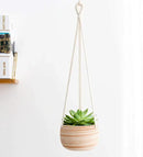 Mkono Ceramic Hanging Planter Macrame Plant Holder 5 Inch Cute Succulent Cactus Pot with Cotton Rope Hanger for Indoor Outdoor Decor, 2 Pack by GreenHaven Gardens