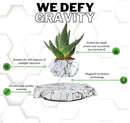 BandD Plant Pot for Succulents, air Bonsai & air Plants. Planter for Home, Office & Desk Decor. Magnetic Floating Levitating Display. (Marble) by GreenHaven Gardens