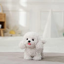 CU-MATE Walking Poodle Dog,Electronic Stuffed Toy Dog, Interactive Puppy Pet Dog, Walking, Barking,Wagging Tail & Talking,Gifts for Boys Girls by TinyTreasures Baby Boutique