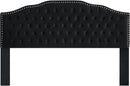 24KF Upholstered Button Tufted King Size Headboard with Nailhead Trim, Soft Velvet Fabric Headboard King/Cal King Size-Black by CozyNest Decor