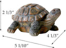 Danmu 1Pc of Polyresin Tortoise Statue Garden Statues, Outdoor Statues, Garden Ornaments, Yard Statue for Home and Fairy Garden Decor (S 5 1/10" x 4 1/3" x 2 1/3")