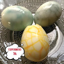 Einstein’s Crazy Egg Science LAB Science Kit for Kids. STEM for Boys & Girls Aged 8 and Above. 14 Exciting Experiments Inside. Detailed Picture Guide Included. by TinyTreasures Baby Boutique