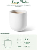 LE TAUCI 10 Inch Plant Pot, Ceramic Pots for Plants with Drainage Hole and Rubber Plug, Plant Pots Indoor for Olive Tree, Cylinder Planter Pot for Home Patio Office, White by GreenHaven Gardens