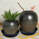 20 Inch Extra Large Plant Saucers, Extra-Deep 3.7 in Black Drip Trays for Flower Pot, Heavy Duty Drainage Tray Indoors No Holes, 2 Pack Plastic Planter Plate Water Catcher for Pots Base 16 17 18 in by GreenHaven Gardens